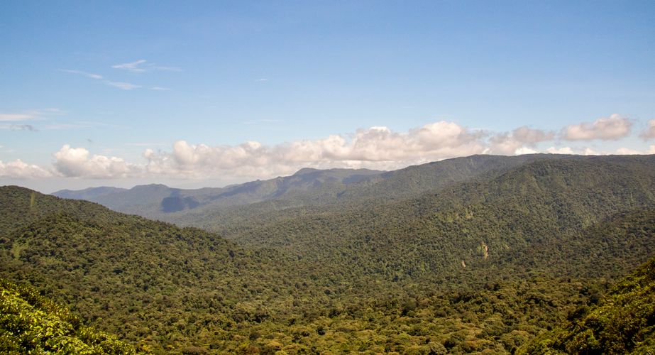 Monteverde in Costa Rica